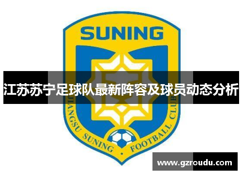 江苏苏宁足球队最新阵容及球员动态分析