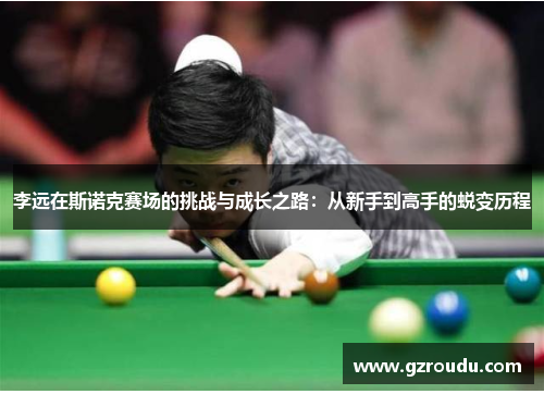 李远在斯诺克赛场的挑战与成长之路：从新手到高手的蜕变历程